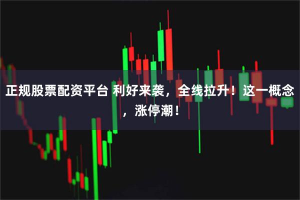 正规股票配资平台 利好来袭，全线拉升！这一概念，涨停潮！