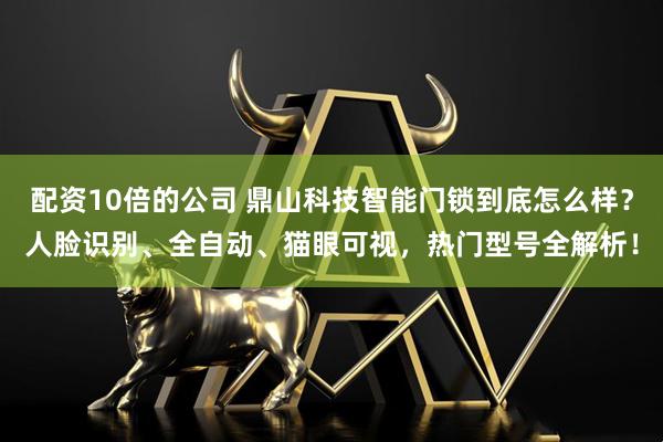 配资10倍的公司 鼎山科技智能门锁到底怎么样？人脸识别、全自动、猫眼可视，热门型号全解析！