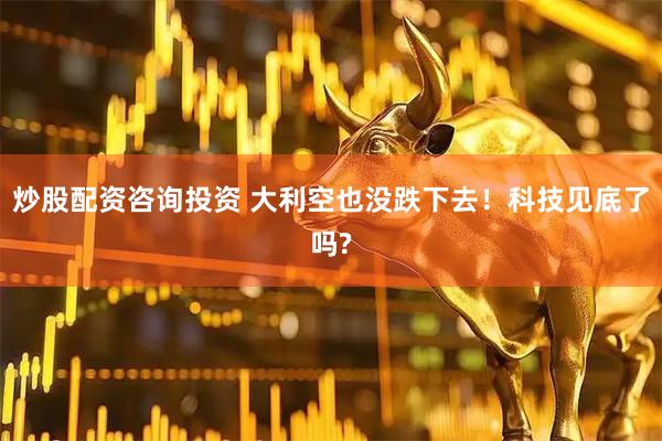 炒股配资咨询投资 大利空也没跌下去！科技见底了吗?