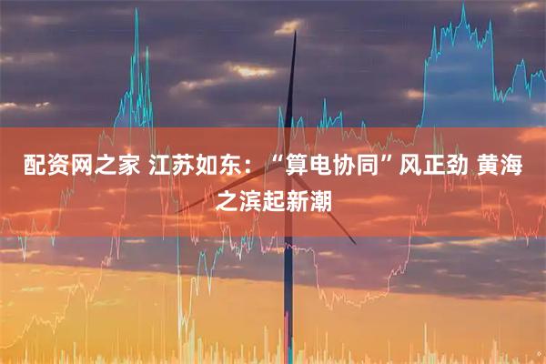 配资网之家 江苏如东：“算电协同”风正劲 黄海之滨起新潮